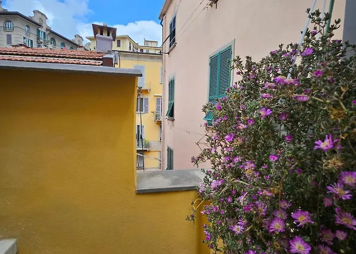 Frem Lord בית הארחה 3*